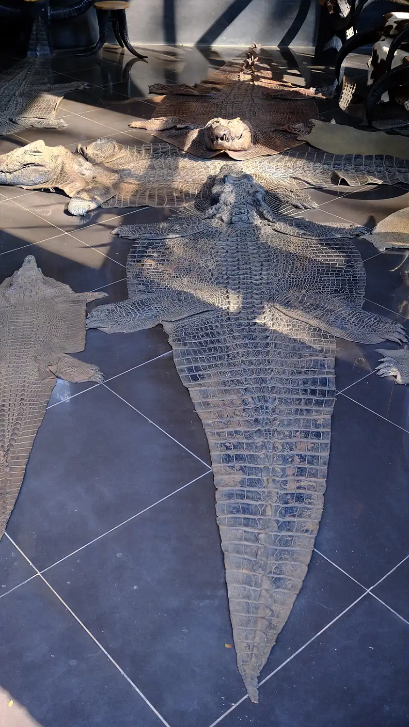 Черный Музей (Baan Dam Museum)